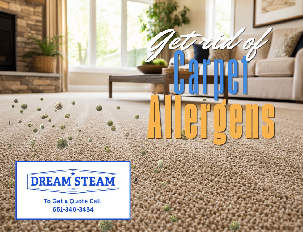 What’s Really Hiding in Your Carpet?
Your carpet does more than make your home feel cozy—it also traps dust, pollen, pet dander, dirt, and other allergens that settle deep within the fibers. While regular vacuuming helps, it can't always reach what's hiding below the surface.
Professional carpet cleaning removes deep-down buildup, helps reduce odors, and creates a cleaner, healthier environment for your family.
If it's been over a year since your last professional cleaning, now is the perfect time to give your home a fresh start!
Contact Dream Steam today to schedule your professional carpet cleaning.