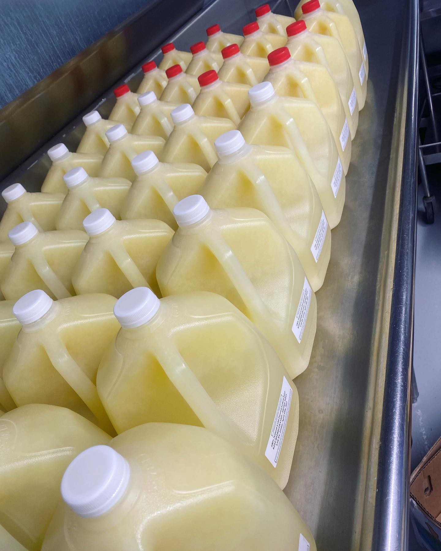 Head on over to @juicekingusa where you can find our retail and wholesale juice program. Juices prepared fresh at the Crown processing facility, cold-pressed and bottled at 37Β°F!
π₯Ά
Pasteurized juice program available for wholesale distributors and business to business sales. Always fresh and unpasteurized for our retail customers!
π₯€
π
π
π₯¬
π₯
π
π
#juice #juices #citrus #wholesale #unpastuerized #fyp #food #foodie #foodservicedistribution #processor #foodprocessing #freshcut #pastuerized #bottled #fresh #allnatural #maricopacounty #scottsdale #phoenix #mesa #tempe #goodyear #chandler #litchfieldpark #peoria #JuiceKingUSA
