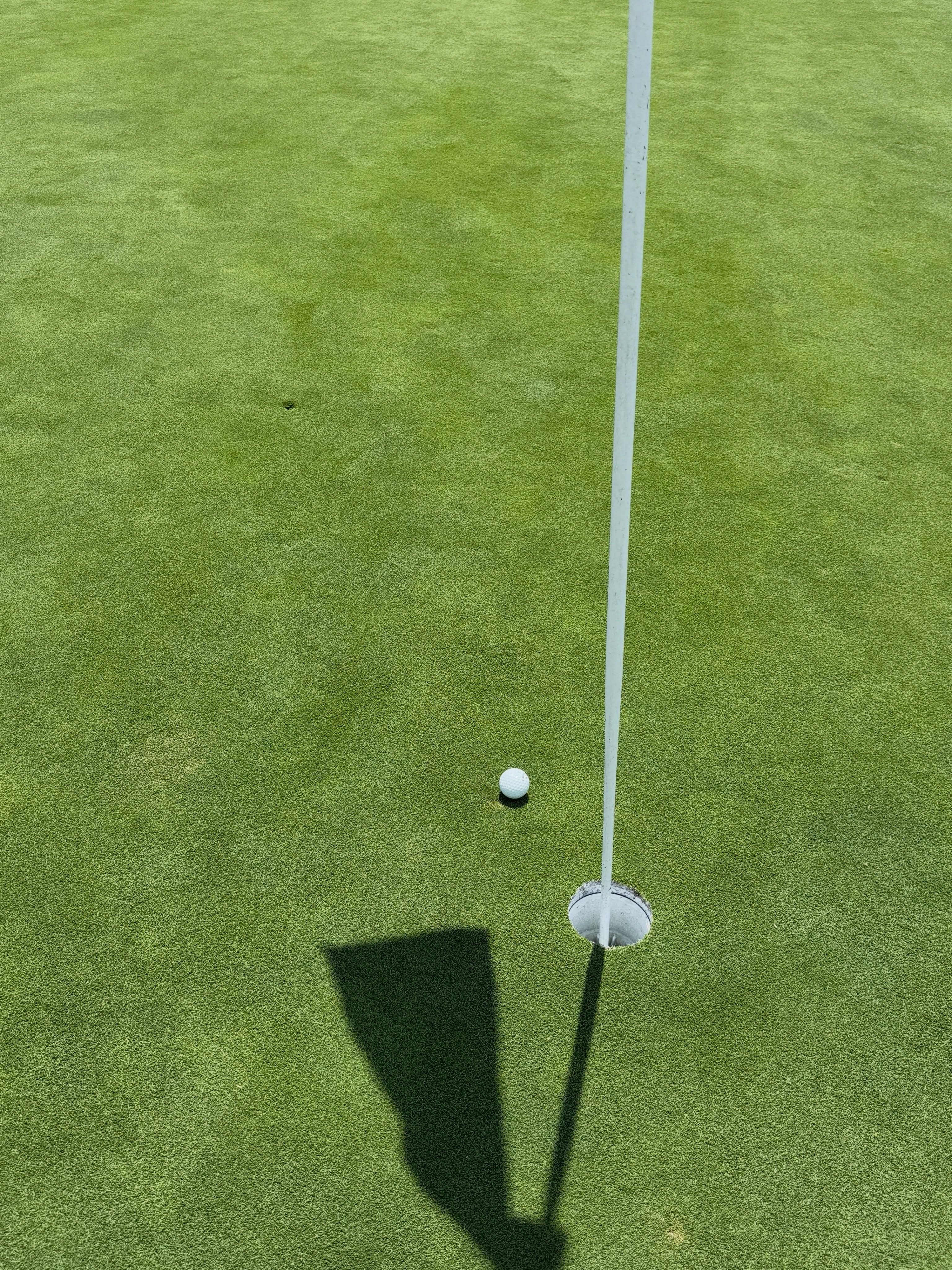 Such a fun day today with the guys from my Local 727p, not only did we win the scramble, but I also won the putting contest, the long drive contest, and the closest to the pin contest at the GDoA/TLC Charity Golf Tournament hosted by Locals 755 and 1125 at the Rancho Bernardo Inn Golf Course.