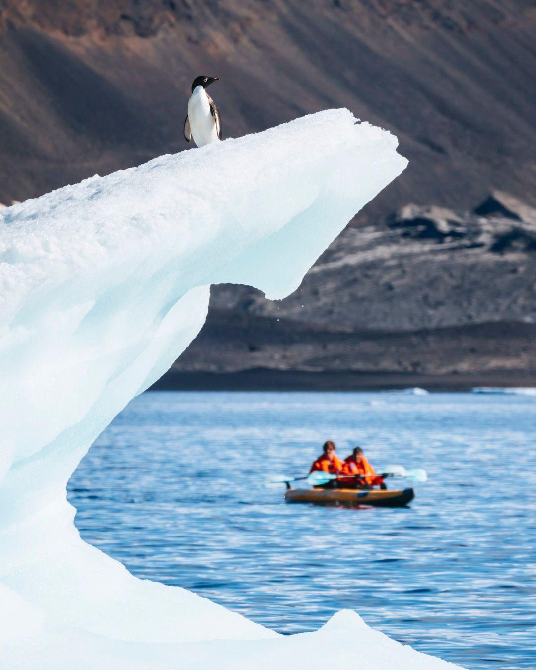 Expedition cruising is becoming one of the most requested categories on our books, and the reason is simple. You no longer have to choose between adventure and comfort.
The newest expedition ships handle the cold, the logistics, and the comfort, so all you have to do is take it in. Zodiacs and naturalist-led landings by day, a hot shower and fine dining by night. Three regions our travelers are asking about most:
Antarctica, for the once-in-a-lifetime version of cold. Calving glaciers, penguin colonies, and ice in every direction.
The Arctic Circle, for Iceland and Greenland. Waterfalls, volcanic coastlines, towering icebergs, and a real shot at the northern lights from the deck.
The Galápagos, for the warm-weather side. Snorkeling with sea lions, giant tortoises up close, and wildlife so unbothered by people it practically poses.
Departures are limited and book a year or more in advance, so the best cabins go early. If one of these is on your list, let's start planning.
#traveldesignco #luxury #luxurytravel
.
.
.
.
#expeditiontravel #luxurytraveladvisor #antarctica #galapagos #bucketlisttravel