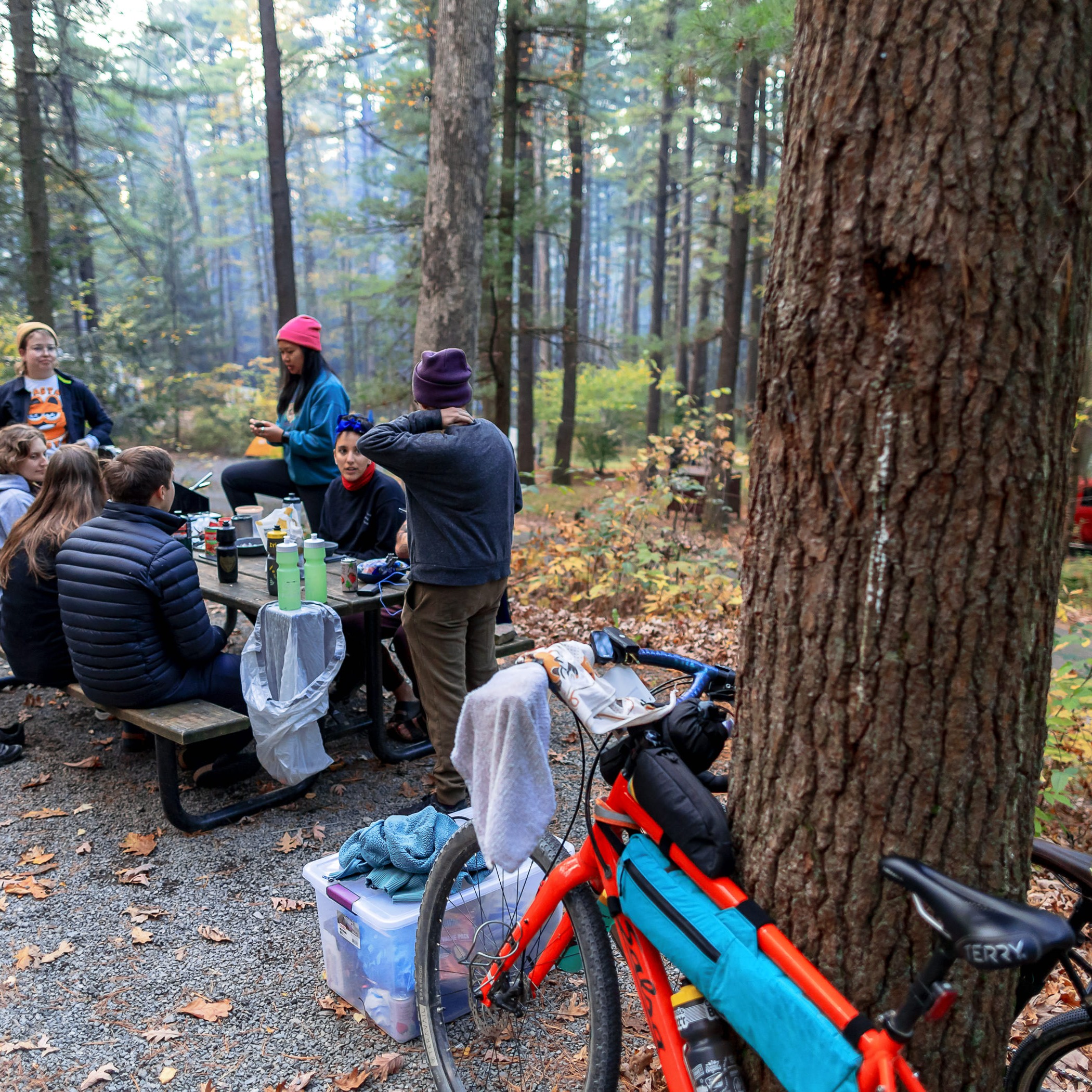 Don’t sleep on a good time, the #SlumberPArty lets you break up the unPAved route over 2 days with a campout with friends in between — and we’ll even haul your sleeping gear!
Roll out on Saturday to RB Winter State Park and if take care of your dinner then @backyardbeanscoffee will serve up your breakfast before you ride back to the #DONEpaved Party on Sunday.
Learn more at unpavedpennsylvania.com and sign up at bikereg.com/unpaved-of-the-susquehanna-river-valley
#YouHaveAFriendInPennsylvania
#easyontheeyeshardonthelegs
#IPAgravel
----
@susquehannarivervalley
@stansnotubes
@laufcycles
@backyardbeanscoffee
@schwalbetires
@newtrailbrewing @rustyrailbrewing @endotuneup
@nittanymountainworks @phillybikeexpo @purplelizardmaps, @carborocket
@hushmoneybikes, @dutchwheelmanbikes, @thebikeroost, @svbikes, Links Cyclery, Brookside Bikes, @cycleupcafe, @freezethawcycles
@themillercenter
unPAved supports (and is supported by) @paenvironmentalcouncil & @pvpedalsandpints